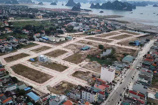 Chuẩn bị có "sóng", UBND Vân Đồn lập tức chỉ đạo khẩn về kiểm soát giá đất