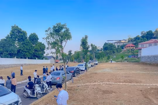 Dấu hiệu nhận biết những thị trường bất động sản hồi phục mạnh mẽ sau dịch