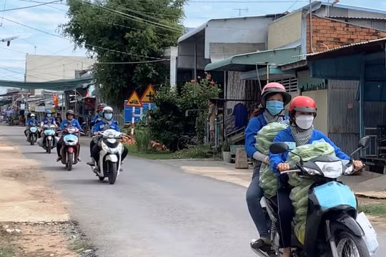 Những cô gái áo xanh tình nguyện “tải lương thực” đến người dân mùa dịch