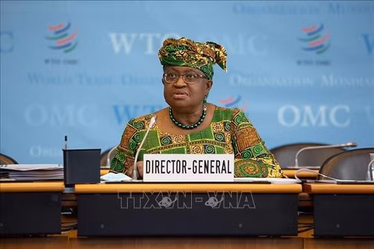 Tổng giám đốc WTO: Tình trạng bất bình đẳng về vaccine vẫn còn nhiều thách thức