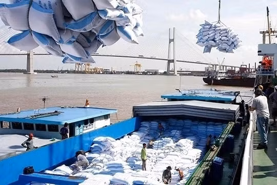 Hạn chế thuyền viên lên bờ để phòng chống dịch COVID-19