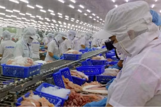 Xuất khẩu thuỷ sản khó duy trì đà tăng trong nửa cuối năm do dịch Covid - 19