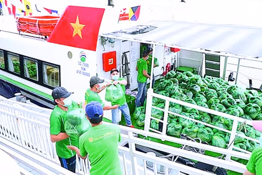 Cung ứng hàng hóa mùa dịch tại TP.HCM: Bài học về kịch bản và kho dự trữ thực phẩm!