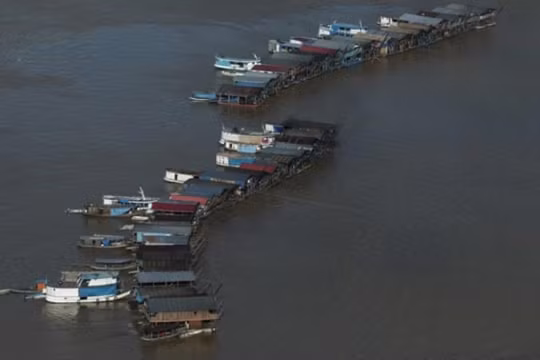 Rộ cơn sốt vàng trên sông Amazon