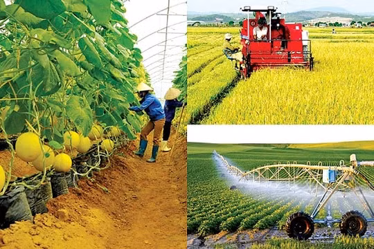 Gỡ khó cho việc cấp phép, kiểm tra chất lượng lĩnh vực nông nghiệp và phát triển nông thôn