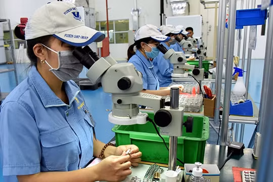Tạo không gian cho "đại bàng nội" phát triển