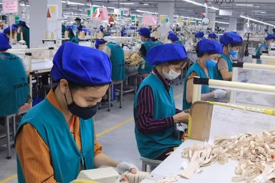 2 tháng triển khai Nghị quyết 105: Tháo gỡ khó khăn cho hàng ngàn doanh nghiệp