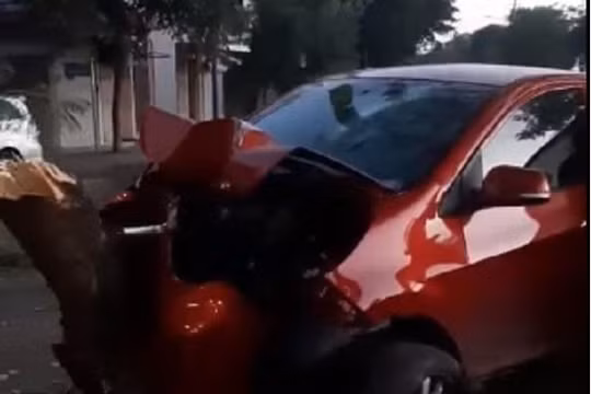 Ô tô tông đổ cây xanh, tài xế tử vong