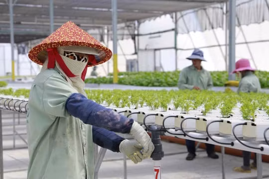 Đông Nam Á tận dụng công nghệ của Israel để cải thiện kỹ thuật canh tác