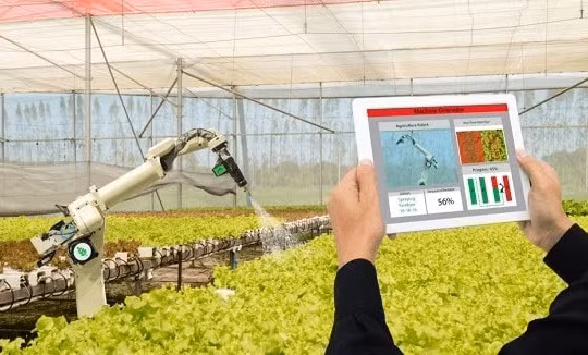 Thúc đẩy chuyển đổi số trong nông nghiệp