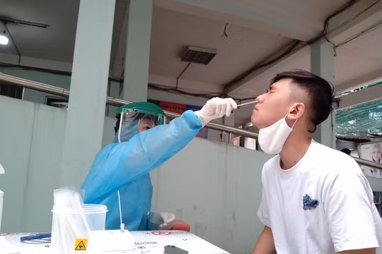 TP.HCM: Quận 8 phong tỏa tạm thời tháp A1 chung cư City Gate