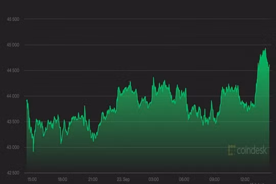 Giá Bitcoin hôm nay 24/9: Tăng giá bất chấp tâm lý lo sợ