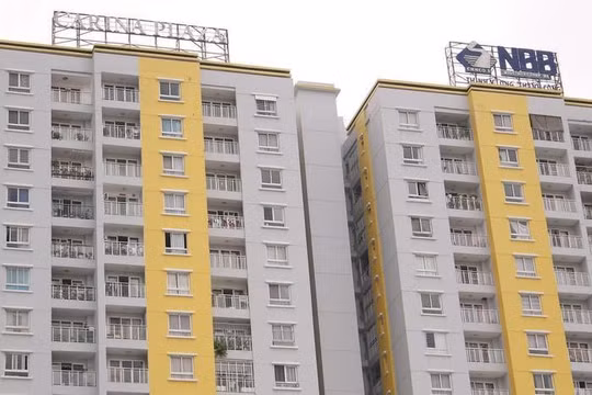 Năm Bảy Bảy (NBB) mua lại 50 tỷ trái phiếu trước hạn sau hơn 3 tháng phát hành