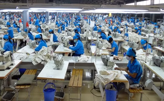 Dệt may TNG phát hành 6,4 triệu cổ phiếu trả cổ tức năm 2020