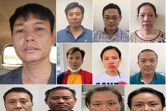 Dự án cây xanh thiệt hại 30 tỷ đồng, 2 tháng 11 người bị khởi tố, bắt tạm giam