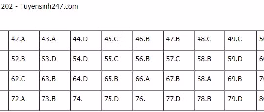 Đáp án đề thi tốt nghiệp THPT 2021 môn Hóa học, mã đề 202 (tham khảo)