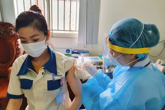 Sáng 8/7, Việt Nam có 314 ca COVID-19 tại TP Hồ Chí Minh và Bình Dương