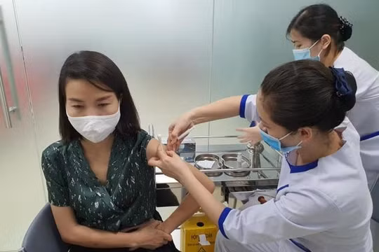 Tỉnh Quảng Ninh kêu gọi người dân đi xét nghiệm Covid -19 tự nguyện