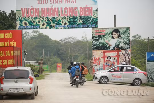 Việc thu phí vào bãi bồi ven sông Hồng vẫn diễn ra, UBND phường Long Biên ở đâu?