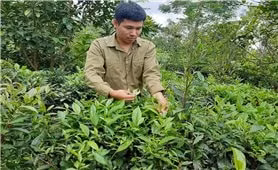 "Trái ngọt" cho ý chí và niềm đam mê