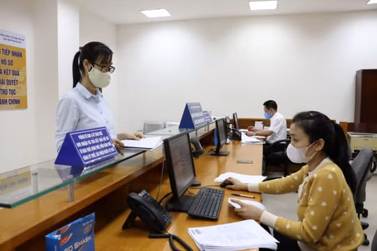 Ngành Thuế thu ngân sách gần 23 nghìn tỷ đồng qua các hoạt động thanh tra, kiểm tra