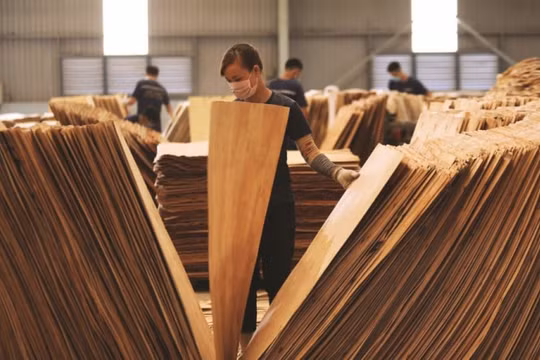 Hiệp hội gỗ và lâm sản: “Ngân hàng đã giảm lãi suất, nhưng không thấm là bao”