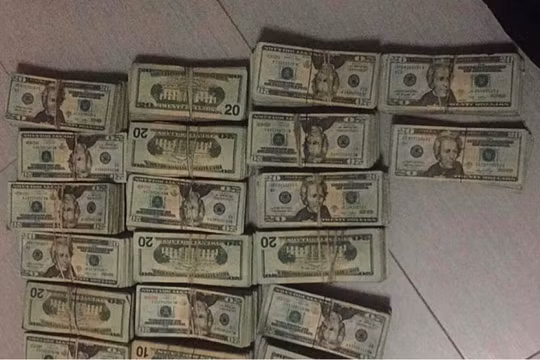 Nhặt được 24 triệu USD, người phụ nữ vô tình tiếp tay cho dân buôn ma túy rửa tiền
