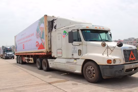 Ưu tiên lưu thông nhanh chóng đối với các phương tiện vận chuyển vải thiều từ Bắc Giang