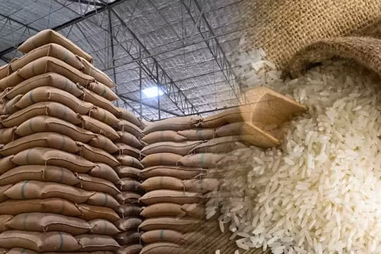 VCCI: Dự thảo xuất khẩu gạo có thể tạo 'vòng tròn khép kín' cho doanh nghiệp lớn