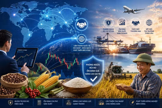 Luật Giao dịch hàng hóa phái sinh: Mở đường cho thị trường phát triển minh bạch, hiện đại