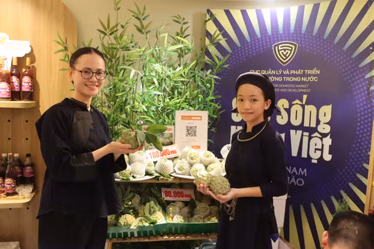 Hơn 1,2 tấn na Lạng Sơn 'cháy hàng' giữa lòng Thủ đô sau 3 ngày diễn ra 'Lạng Sơn Corner'