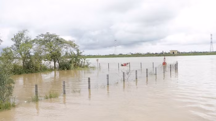 thai binh khan truong khac phuc hau qua bao lu som on dinh san xuat kinh doanh hinh 2