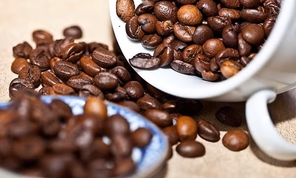Giá cà phê các vùng trồng trọng điểm trong nước biến động trong biên độ hẹp, tăng giảm không đáng kể