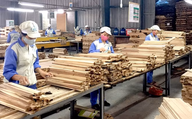 Năm 2020, xuất siêu lâm sản trên 10 tỷ USD, cao nhất từ trước đến nay. Ảnh minh họa.