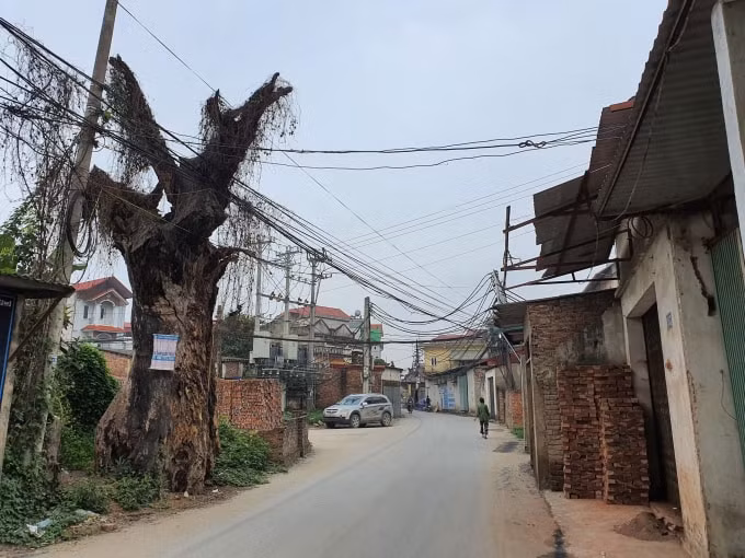Đất nền ven đô trở thành “ngôi sao”. Ảnh:TL