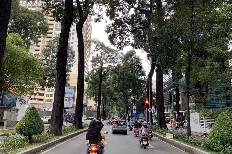 Người dân TP.HCM đi làm trong thời tiết se lạnh. Ảnh: internet