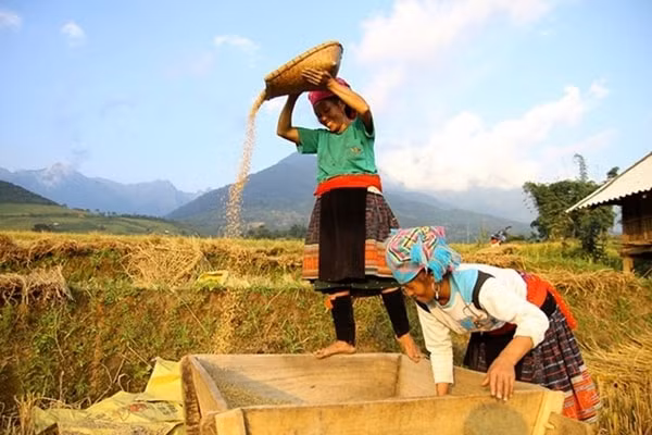 Đề án nhằm phát triển sản xuất nông, lâm nghiệp, phát huy tiềm năng, thế mạnh các vùng dân tộc thiểu số để sản xuất hàng hóa theo chuỗi giá trị