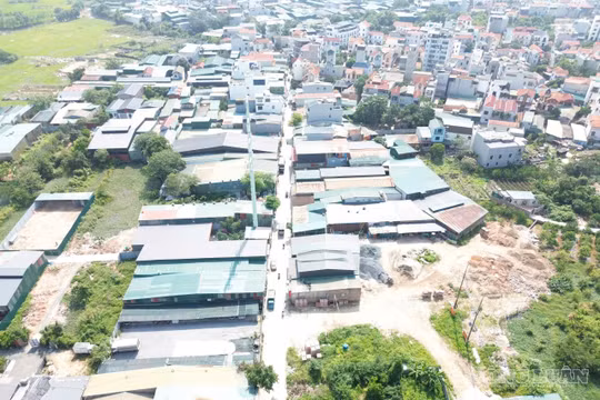 Hà Nội chỉ đạo kiểm tra, xử lý phản ánh về vi phạm đất đai tại xã An Khánh