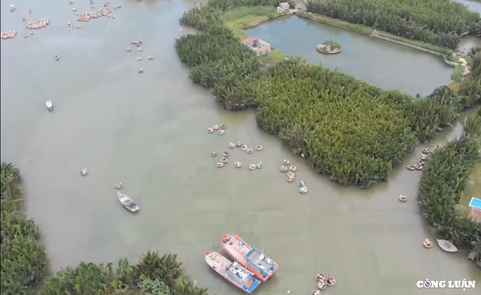 rung dua bay mau diem den ly tuong cho du lich sinh thai o hoi an hinh 1