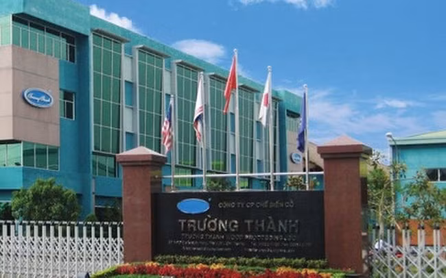 kinh doanh thua lo go truong thanh ttf thoai toan bo von khoi viestones hinh 1
