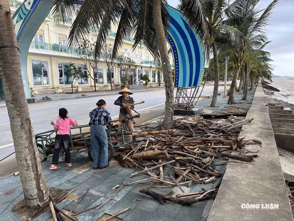 Người dân tranh thủ vớt gỗ về để làm củi đốt.