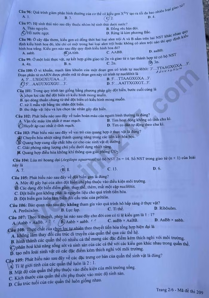 de thi tot nghiep thpt 2023 mon sinh hoc ma de 209 hinh 2