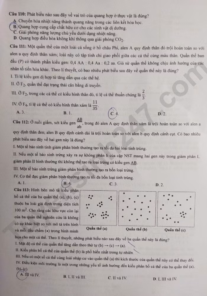 de thi tot nghiep thpt 2023 mon sinh hoc ma de 221 hinh 3