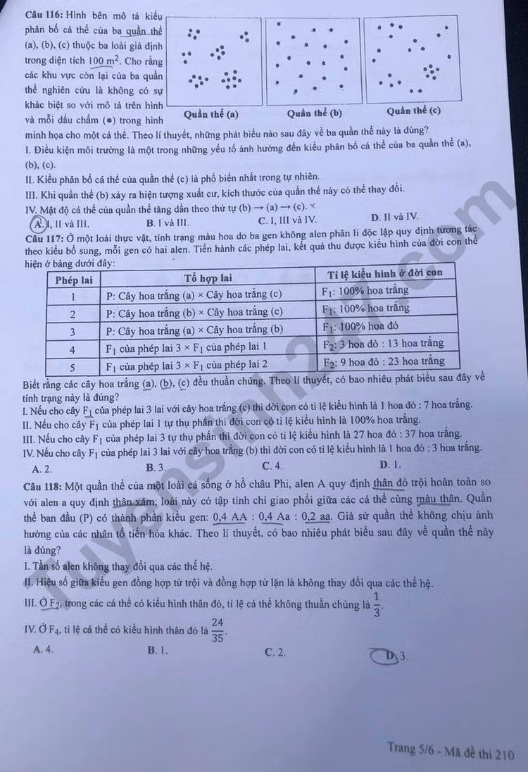 de thi tot nghiep thpt 2023 mon sinh hoc ma de 210 hinh 5