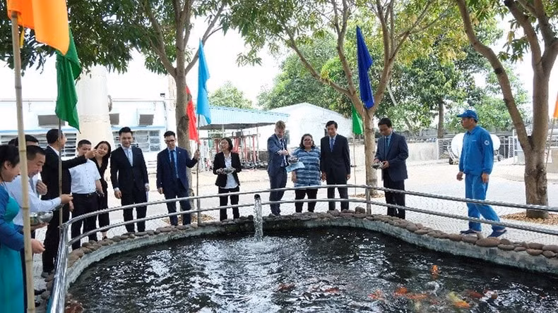 vinamilk la cong ty sua dau tien tai viet nam co nha may va trang trai dat chung nhan trung hoa carbon hinh 5