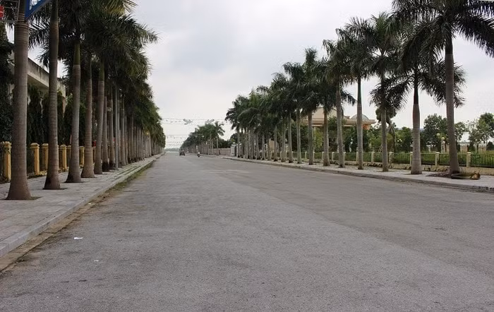 Anh 2 (5)