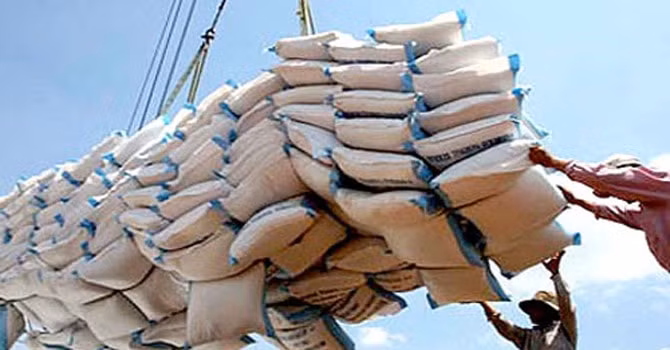 Gạo tiếp tục là mặt hàng xuất khẩu chủ lực của Việt Nam sang Ghana với kim ngạch đạt 214 triệu USD (Ảnh minh họa)