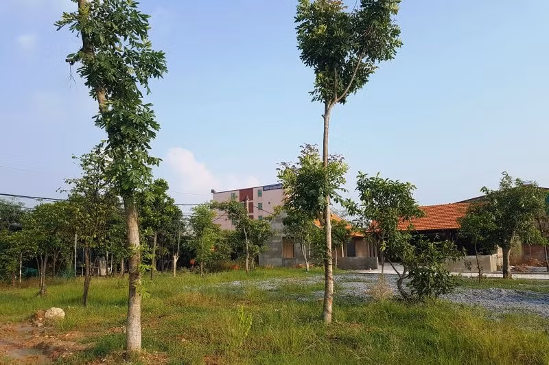 Có hay không công trình vi phạm này đang được “hậu thuẫn” từ phía chính quyền phường Đại Nài?