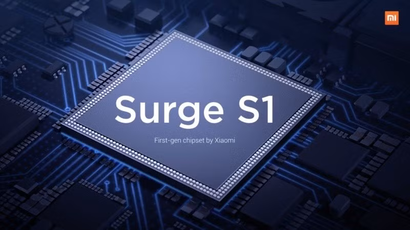 Con chip Surge S1.