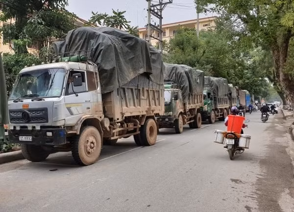 Các đối tượng buôn lậu cho cả dàn xe gồm cả xe mang biển số nước ngoài chạy hàng lậu vào Việt Nam. Ảnh: BCA